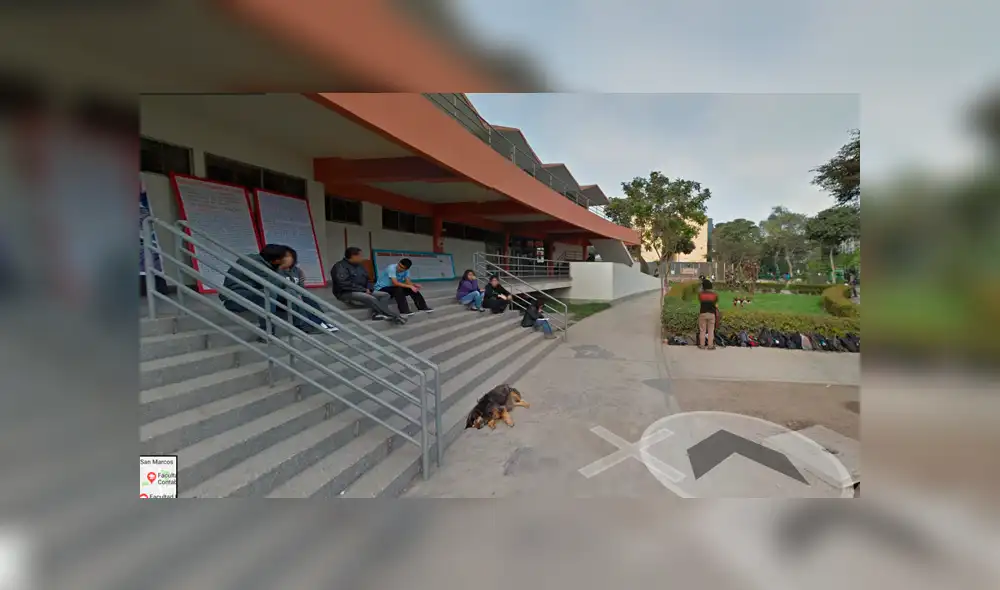 Google Maps: captan a la querida mascota 'Perrovaca' en su lugar favorito de la UNMSM [FOTOS]