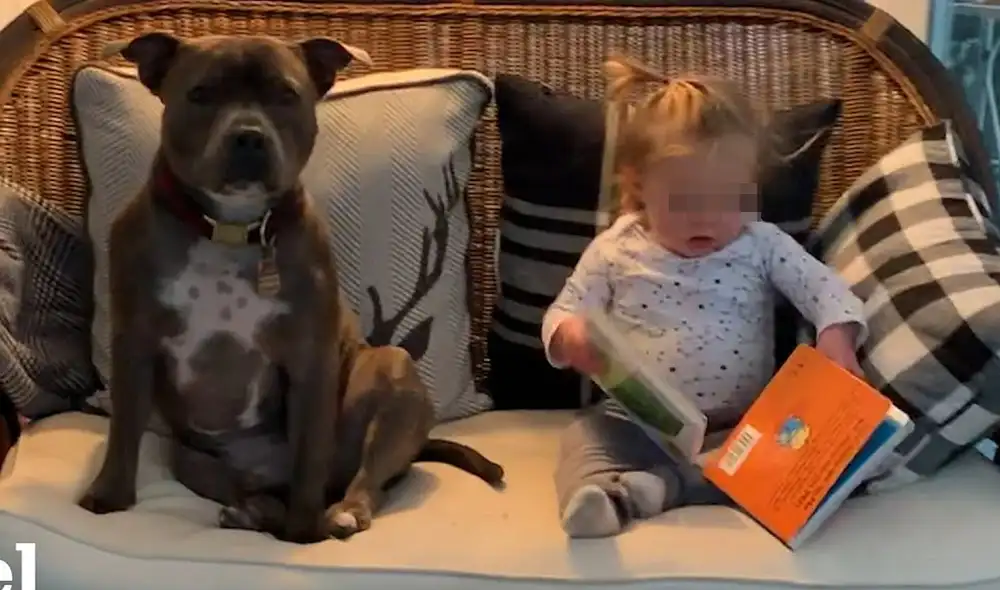 Desliza hacia la izquierda para ver las imágenes del video viral. Foto: Captura de YouTube. Desliza hacia la izquierda para ver las imágenes del video viral. Foto: Captura de YouTube.