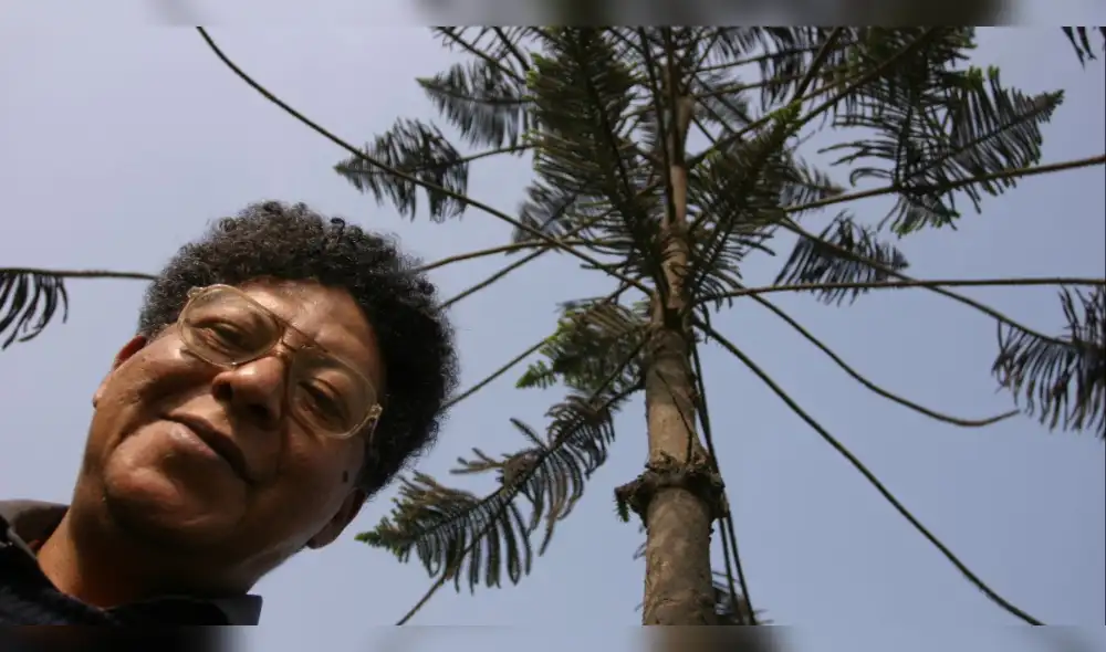 Enrique Verástegui, una temporada en Arequipa (testimonio)