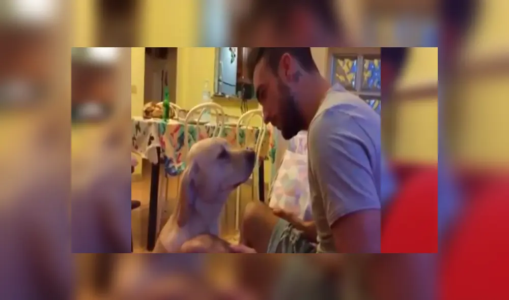 En Facebook, un perro se sintió terrible tras cometer una travesura en su casa y pidió perdón a su cuidador. En Facebook, un perro se sintió terrible tras cometer una travesura en su casa y pidió perdón a su cuidador.