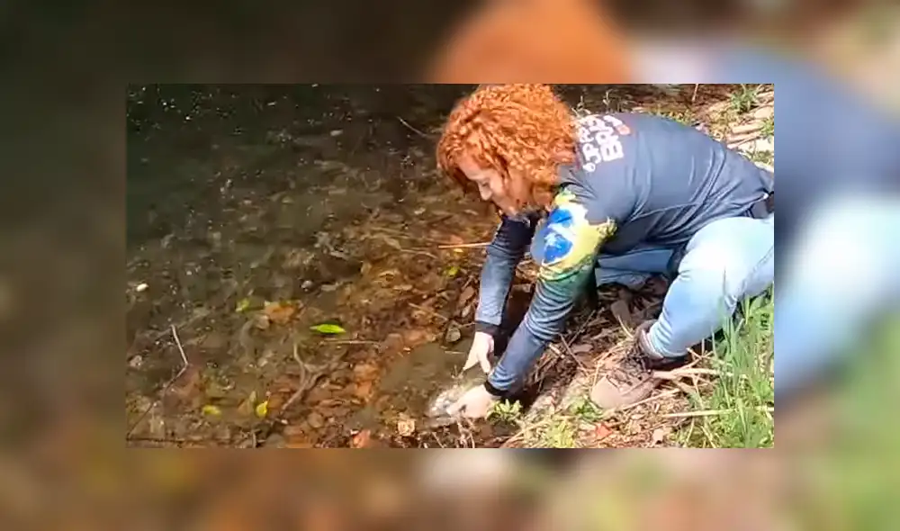 Pescador emerge su mano dentro de un misterioso río de Brasil. Pescador emerge su mano dentro de un misterioso río de Brasil.