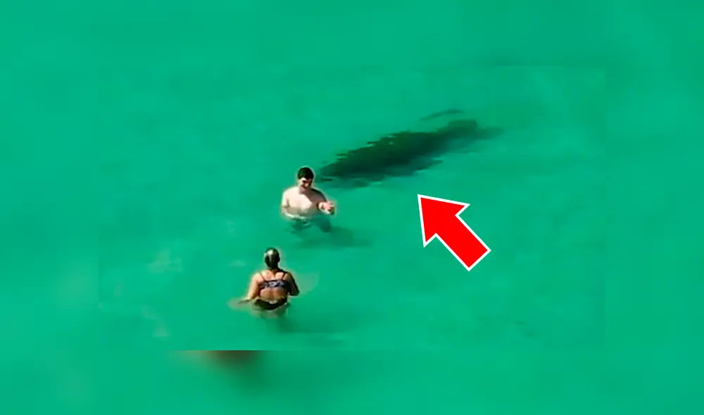 YouTube viral: Enorme criatura emerge del mar y bañistas no se dan cuenta del peligro [VIDEO] 