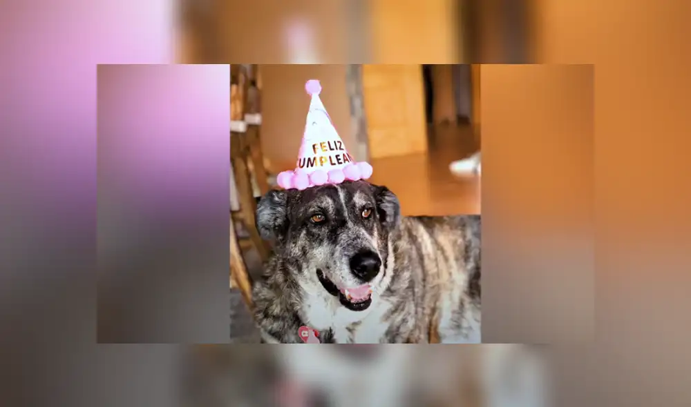 Desliza hacia la izquierda para ver las imágenes del viral de Facebook.