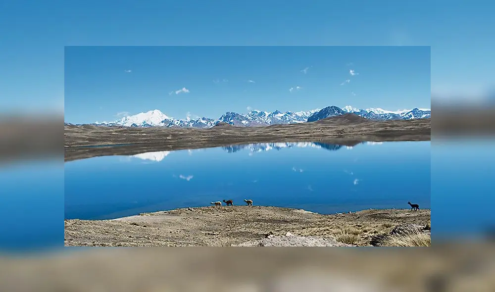 laguna sibinacocha. Nevado lo alimenta con afluentes. laguna sibinacocha. Nevado lo alimenta con afluentes.