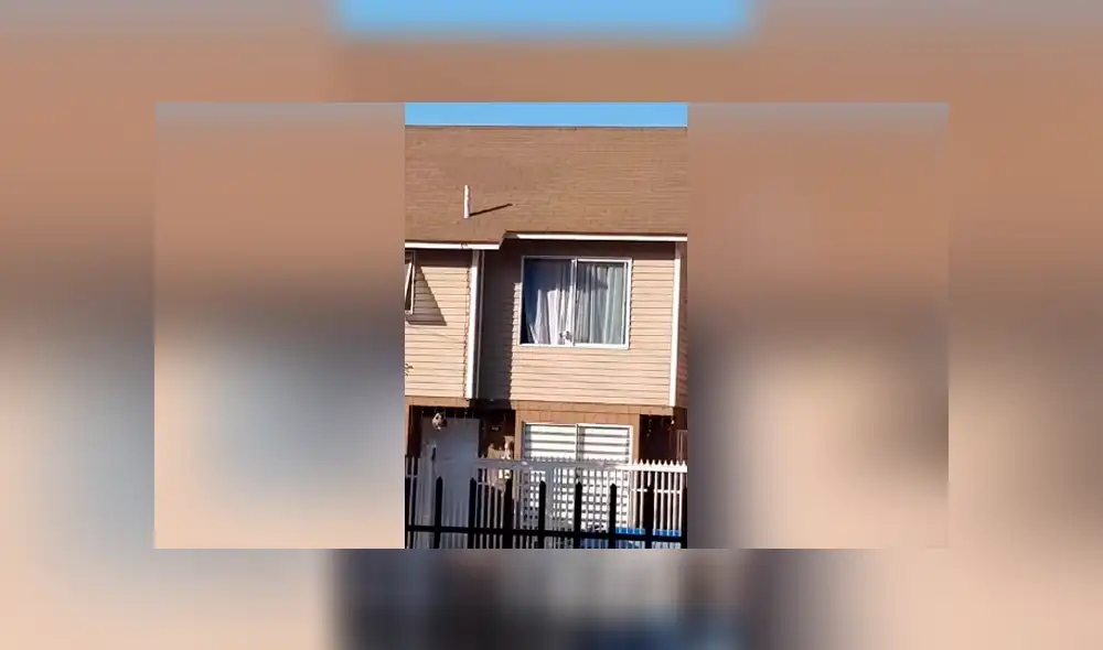 Desliza las imágenes para observar la travesura que cometió una perrita tras escapar de su casa por unas horas. Desliza las imágenes para observar la travesura que cometió una perrita tras escapar de su casa por unas horas.