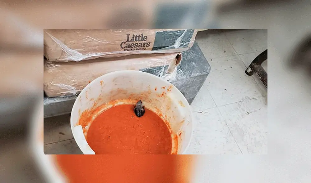 Las imágenes fueron compartidas por el ex gerente de una de las tiendas. Foto: Stephen Christopher Estrada / Facebook.