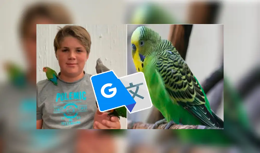 Google Translate: curioso resultado sorprende a usuarios al escribir 'Adiós Chimuelo' [VIDEO]