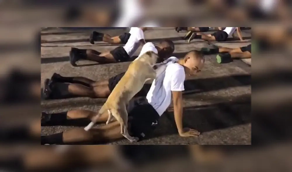 Desliza hacia la izquierda para ver más del video viral. Fotocaptura: YouTube