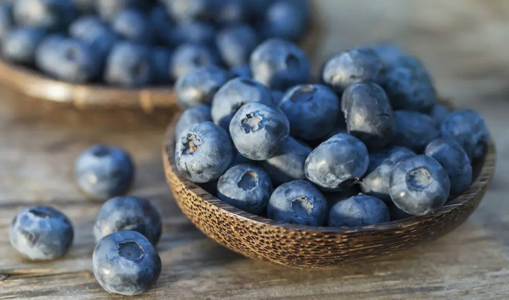 urante la campaña de exportación 2019-2020 lograron exportar más de 120 mil toneladas urante la campaña de exportación 2019-2020 lograron exportar más de 120 mil toneladas