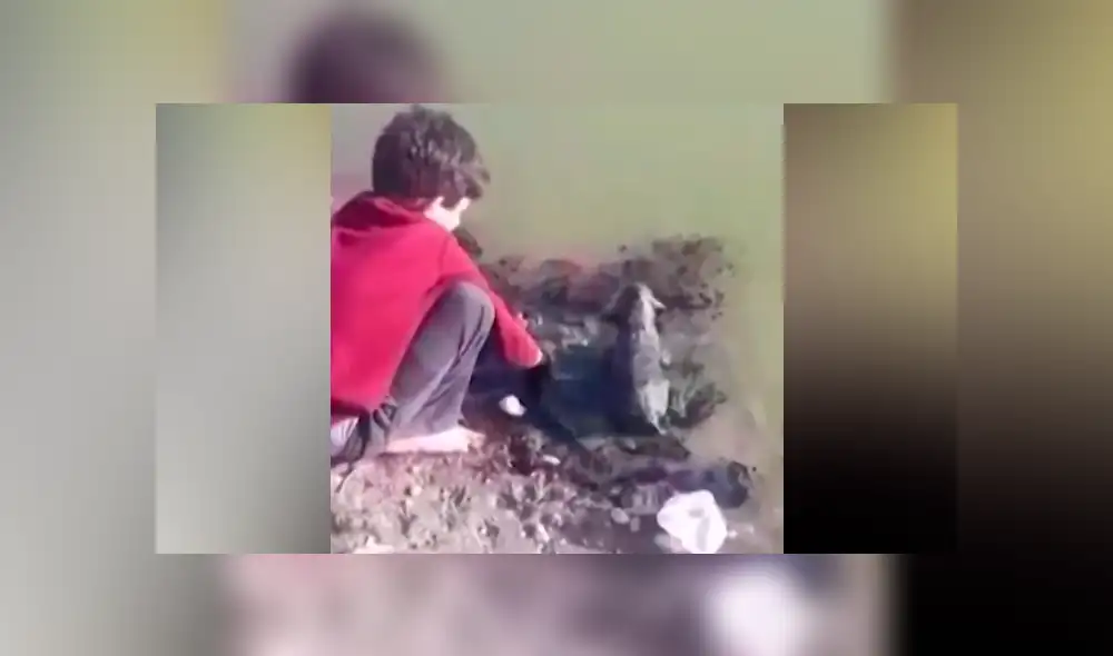 Desliza a la izquierda para ver las imágenes del valiente rescate. (Foto: captura)