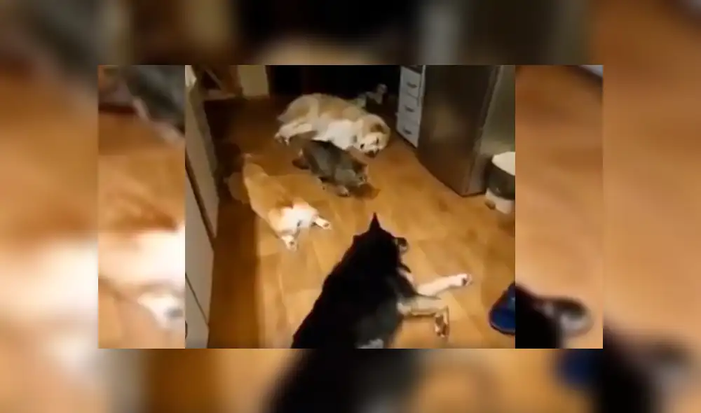 Desliza para ver los detalles del video viral publicado en YouTube. Foto: Captura.