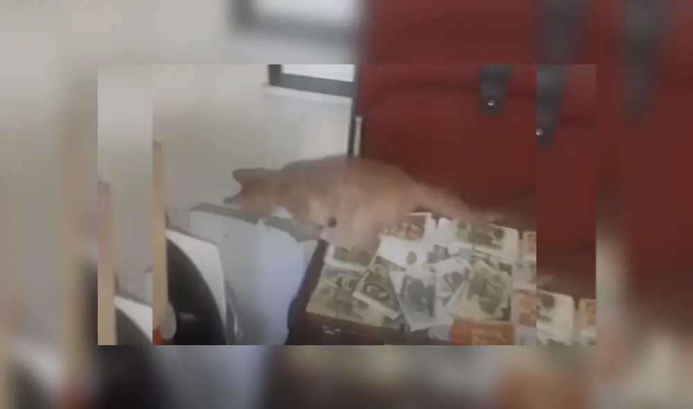 Desliza hacia la izquierda para ver más del video viral. Fotocaptura: YouTube Desliza hacia la izquierda para ver más del video viral. Fotocaptura: YouTube