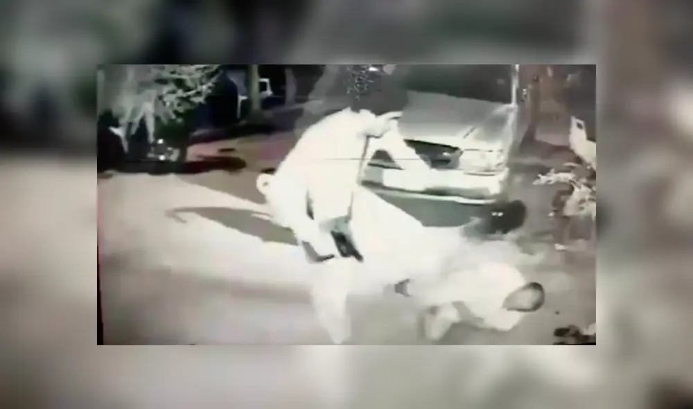 Mascotas salvan a su dueño de morir baleado por su vecino [VIDEO] 