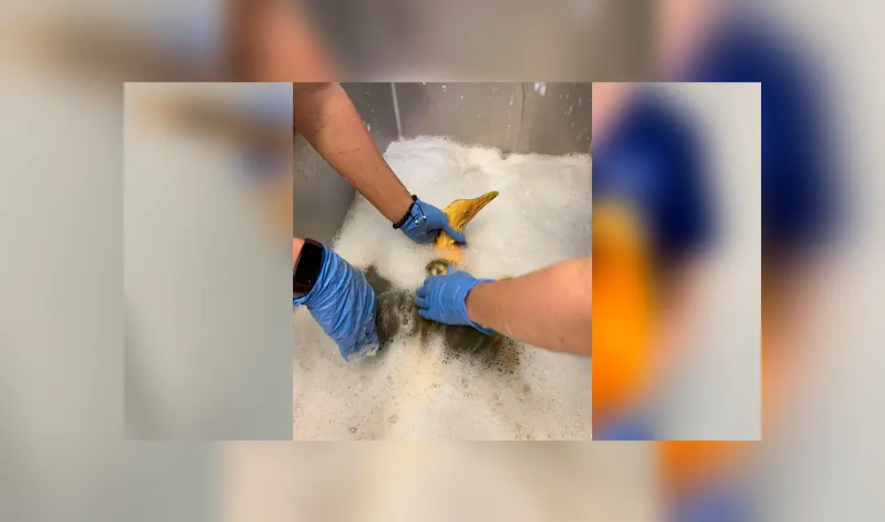 Desliza para ver los detalles de esta historia que se viralizó en Facebook. Foto: Captura. Desliza para ver los detalles de esta historia que se viralizó en Facebook. Foto: Captura.