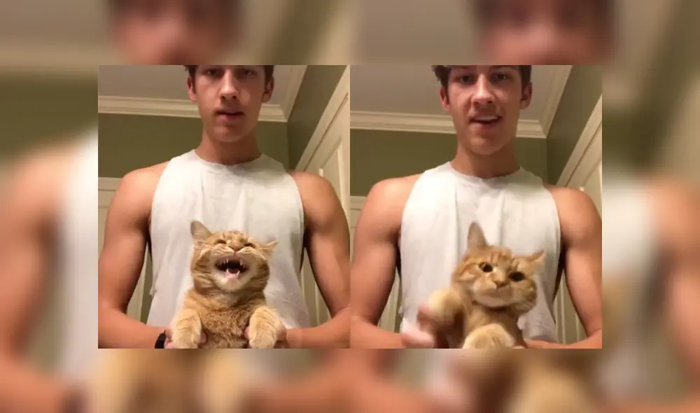 Desliza a la izquierda para conocer más sobre este nuevo video viral de TikTok. Foto: Captura.