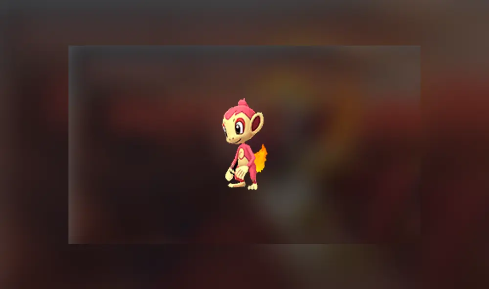 Chimchar shiny.