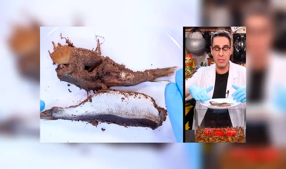 YouTube: Lanzan comida en lata dentro de envase con supergusanos carnívoros y sucede algo inesperado [VIDEO]