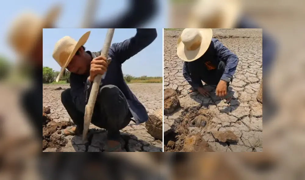 Desliza hacia la izquierda para ver las imágenes del viral de Facebook. Desliza hacia la izquierda para ver las imágenes del viral de Facebook.