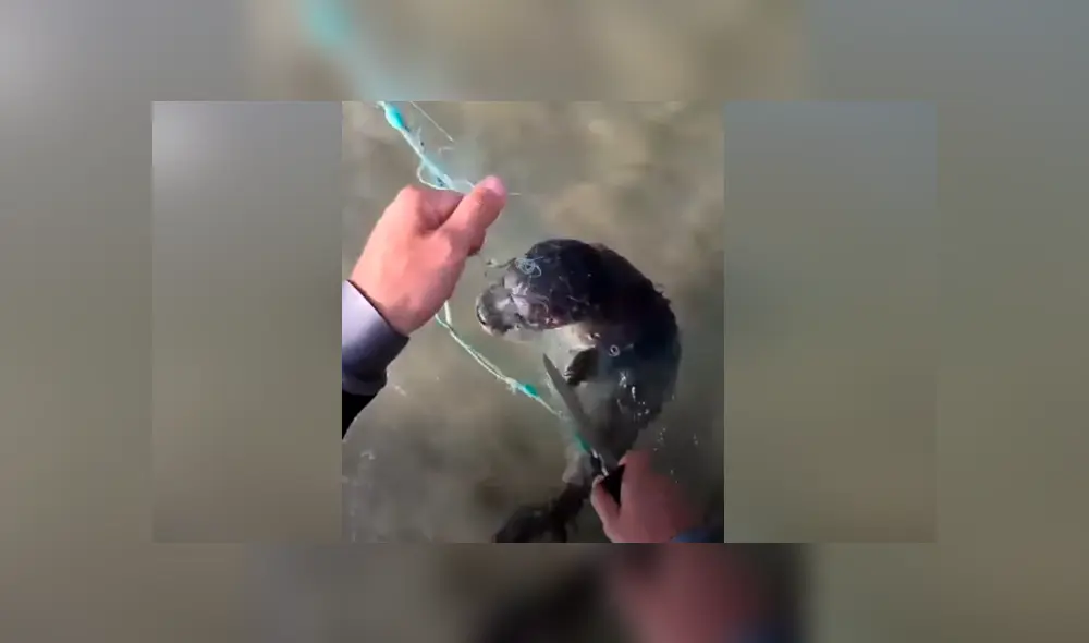 Desliza para ver los momentos más impactantes del video que se hizo viral en Facebook. Desliza para ver los momentos más impactantes del video que se hizo viral en Facebook.