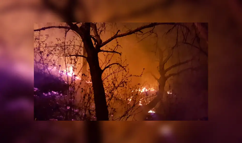 Cerro del Chiquihuite: así se vio el incendio forestal en Ciudad de México [FOTOS y VIDEO]