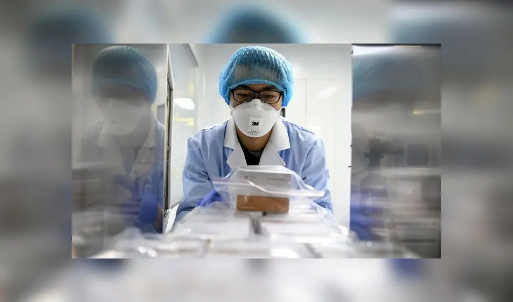 Las vacunas tienen diversas etapas de desarrollo. Las pruebas clínicas involucran tres fases. Foto referencial: EFE.