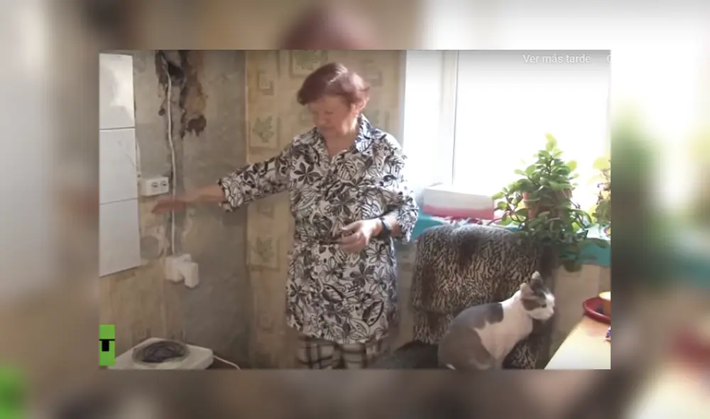 Gatito salvó a su dueña de morir asfixiada en un incendio dentro de su departamento [VIDEO]