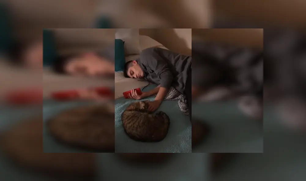 Desliza las imágenes para observar el amoroso momento que captó una joven de su gata junto a su novio. Fotocaptura: Facebook. Desliza las imágenes para observar el amoroso momento que captó una joven de su gata junto a su novio. Fotocaptura: Facebook.