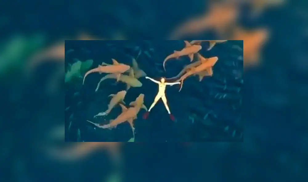 Decenas de internautas quedaron sorprendidos por la peculiar escena. Foto: captura de Facebook