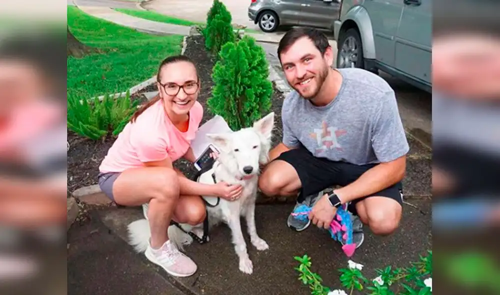 Desliza las imágenes hacia la izquierda para conocer la conmovedora historia de una perrita llamada Gardenia. Foto: The Dodo/ Referencial