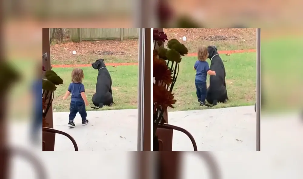 En Facebook, un pequeño se acercó a su mascota para darle un emotivo abrazo y fue descubierto por su madre. En Facebook, un pequeño se acercó a su mascota para darle un emotivo abrazo y fue descubierto por su madre.