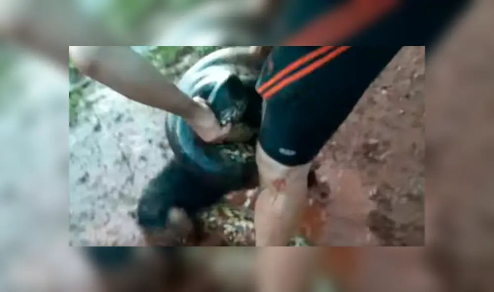 Video es viral en YouTube. Ciclista llegó con su perro a un río para beber agua y fueron sorprendidos por una gigantesca anaconda que atacó intempestivamente al can
