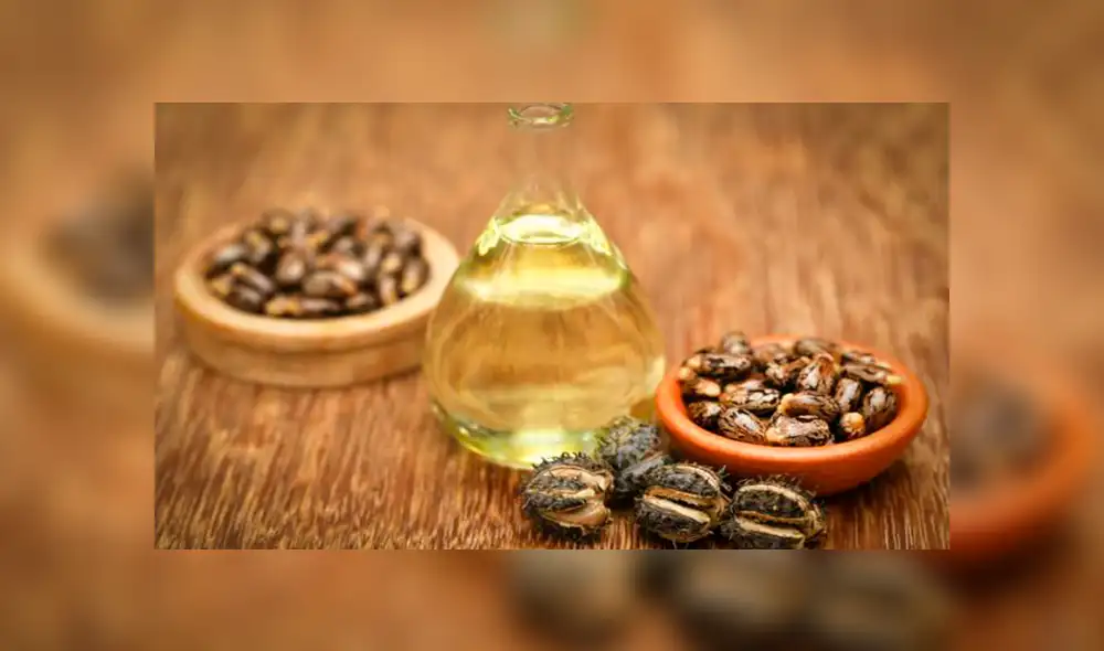 Aceite de ricino: beneficios, uso y contraindicaciones de la ricina