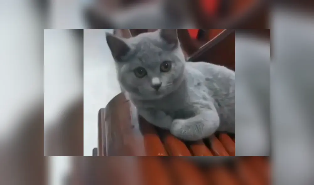 Desliza la imagen compartida en Facebook para ver todas las fotos. Desliza la imagen compartida en Facebook para ver todas las fotos.