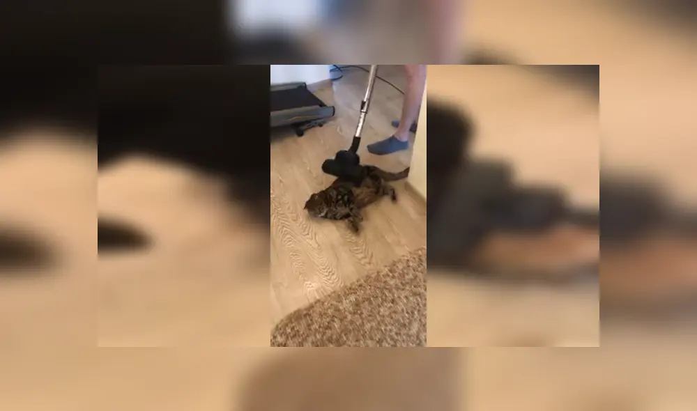 Desliza para ver los detalles del video viral publicado en YouTube. Foto: Captura. Desliza para ver los detalles del video viral publicado en YouTube. Foto: Captura.