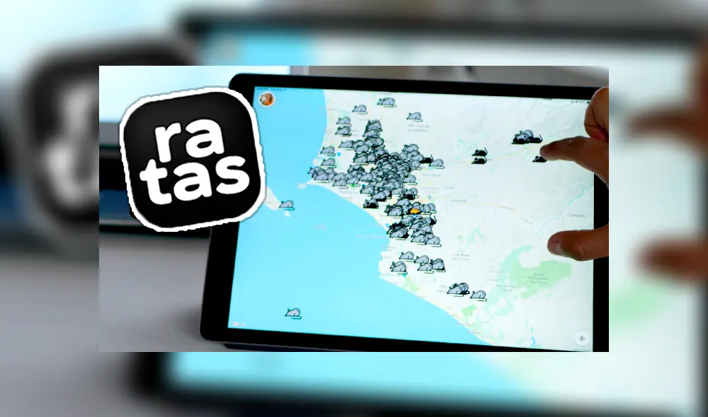 Aplicativo ‘Ratas’ creado por peruanos permite denunciar actos delictivos en tiempo real