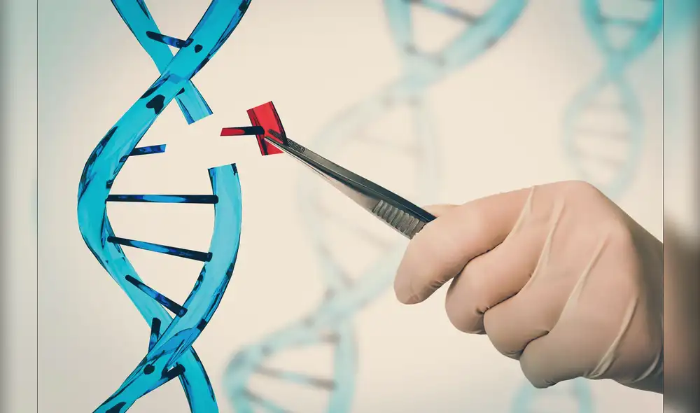 La edición genética propone corregir genes defectuosos por otros sanos. Foto: difusión