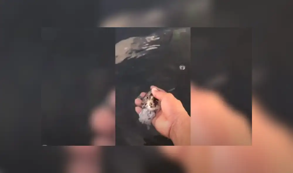 Desliza hacia la izquierda para ver más del video viral