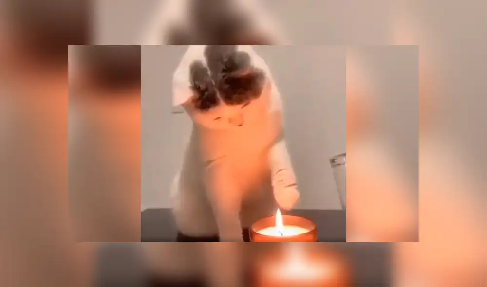Desliza las imágenes hacia la izquierda para apreciar la destreza de un gato para apagar una vela con su pata. Foto: Captura. Desliza las imágenes hacia la izquierda para apreciar la destreza de un gato para apagar una vela con su pata. Foto: Captura.