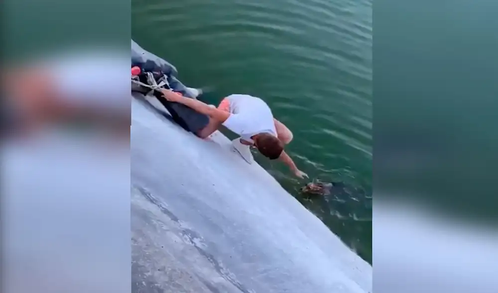 Desliza las imágenes para conocer el conmovedor gesto de un joven para ayudar a un indefenso zorro. Foto: Captura de Facebook