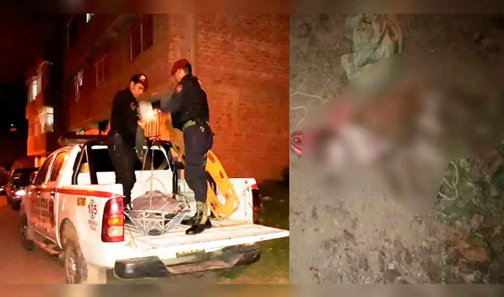 Puno: Dos perros pitbull atacaron a anciana hasta causarle la muerte Puno: Dos perros pitbull atacaron a anciana hasta causarle la muerte