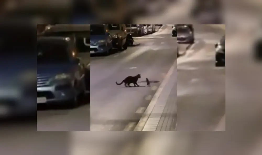 Desliza hacia la izquierda para ver más del video viral