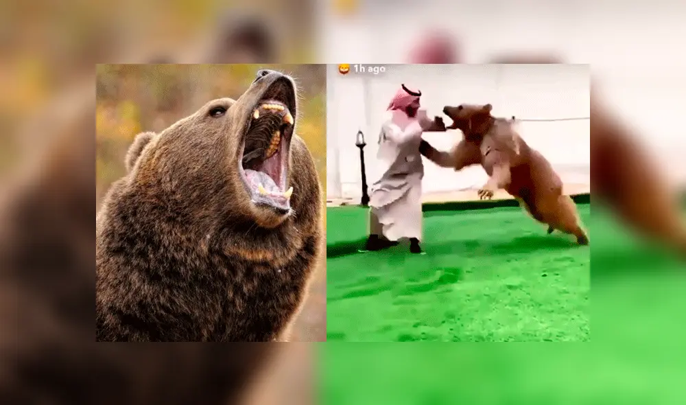 Facebook: feroz oso se lanza sobre un príncipe árabe y deja asombrado a miles de usuarios [VIDEO]