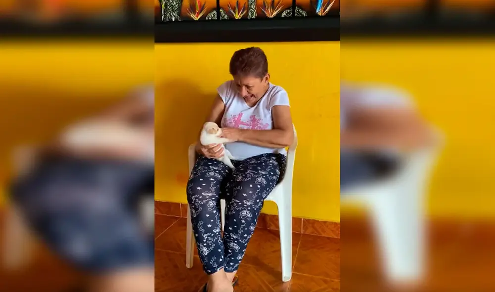 Desliza las imágenes para observar el cariñoso gesto de una anciana con la mascota de sus nietos. Foto: Captura de Facebook