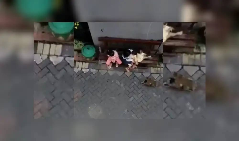 Desliz hacia la izquierda para ver más del video viral.