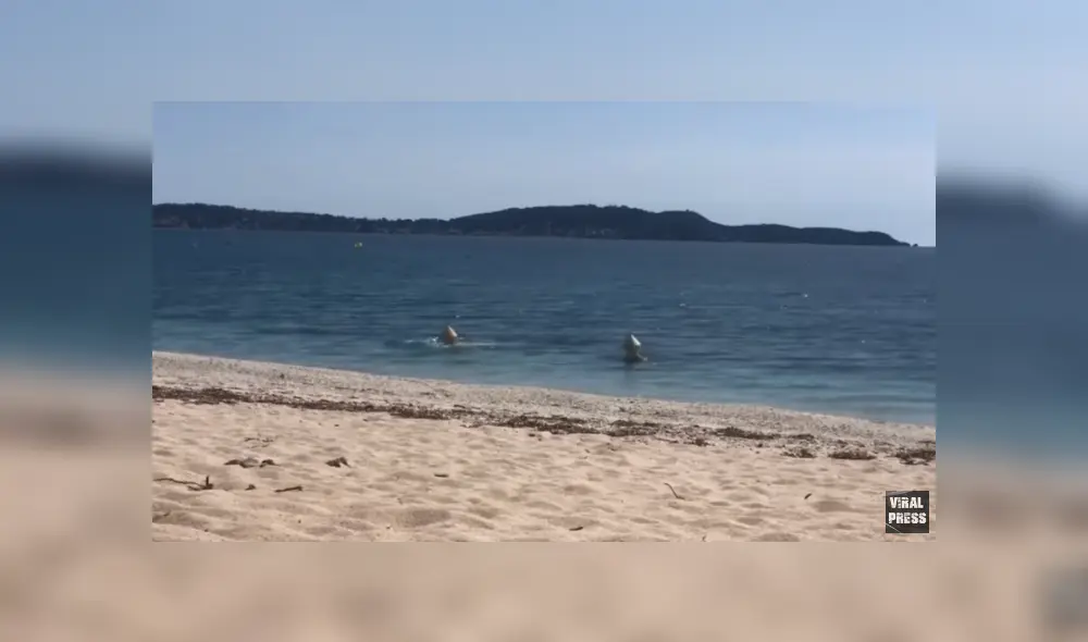 Desliza para ver los detalles del video viral publicado en YouTube. Foto: Captura. Desliza para ver los detalles del video viral publicado en YouTube. Foto: Captura.