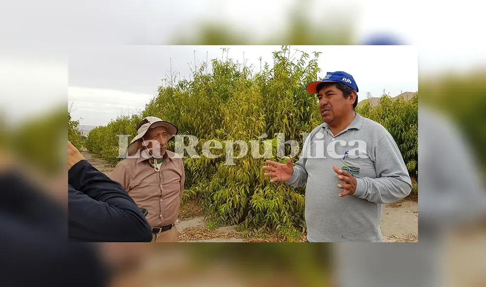 Los agricultores Manuel Mendoza y Darío Gallegos se muestran preocupados por el futuro del valle si no se garantiza el recurso hídrico. Los agricultores Manuel Mendoza y Darío Gallegos se muestran preocupados por el futuro del valle si no se garantiza el recurso hídrico.