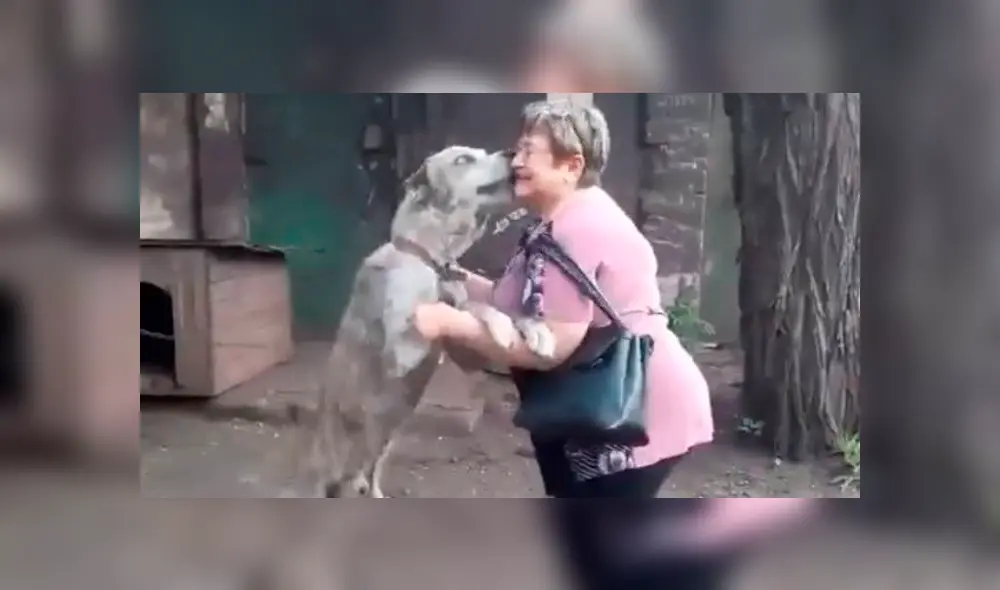Conmovedor reencuentro de un perro con su dueña hace llorar a usuarios.