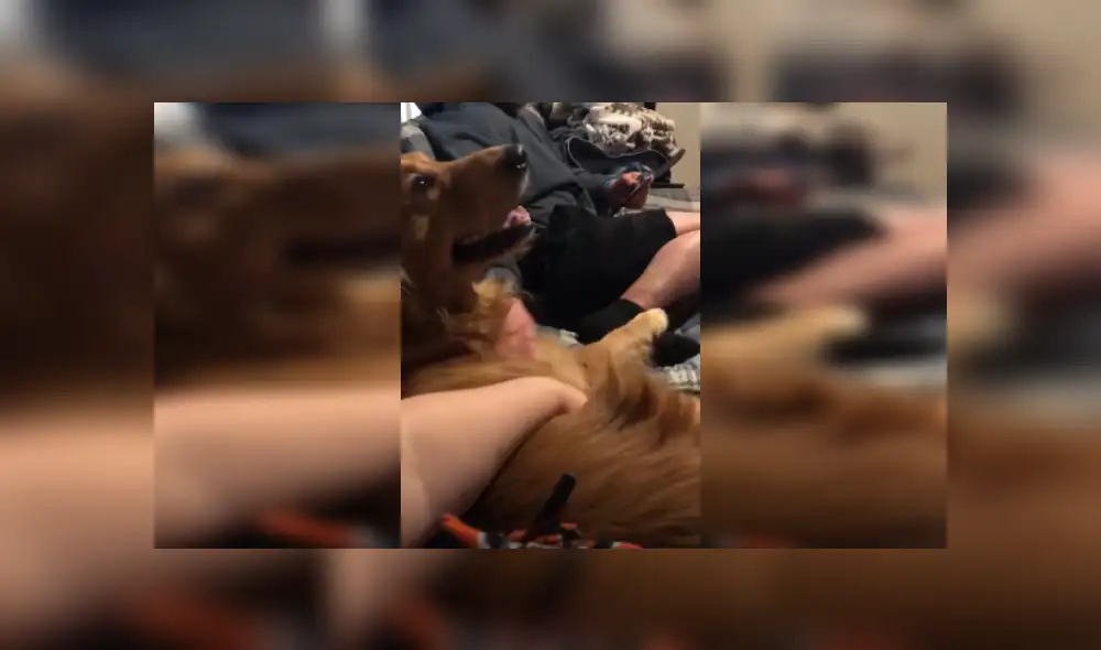 Desliza las imágenes para ver más detalles sobre esta escena que es viral en Facebook.