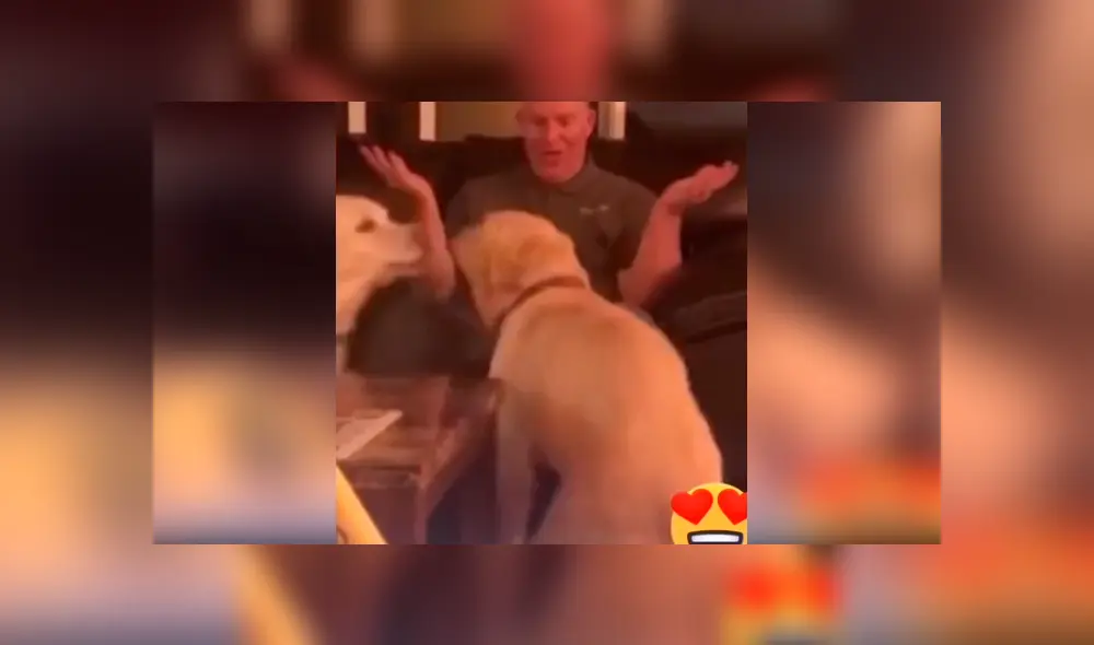 Desliza las imágenes para ver la singular escena que protagonizó este perrito junto con su dueño. Fotocaptura: @edu_perdomo/TikTok Desliza las imágenes para ver la singular escena que protagonizó este perrito junto con su dueño. Fotocaptura: @edu_perdomo/TikTok