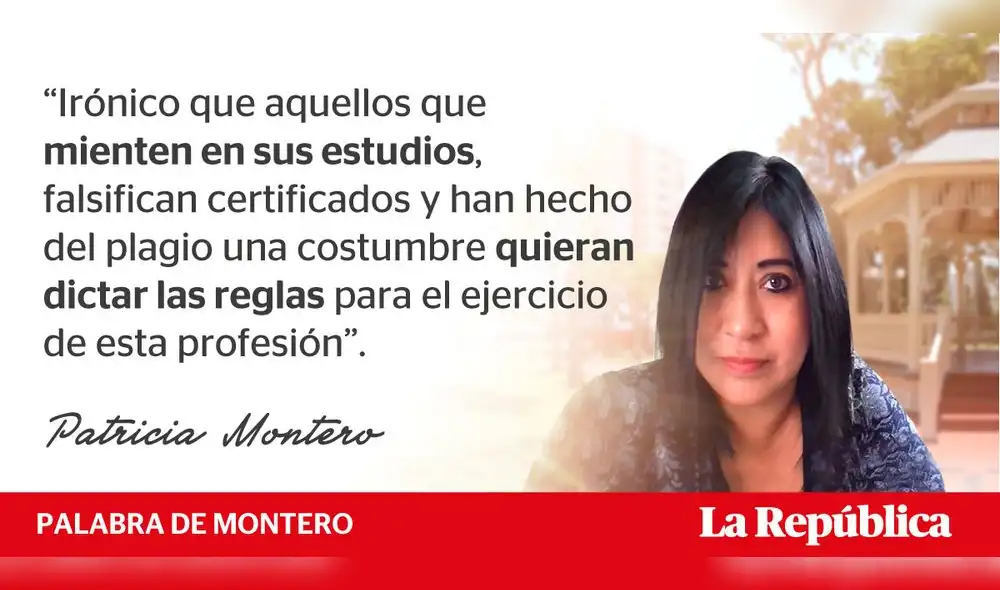 Mi enemiga, la prensa